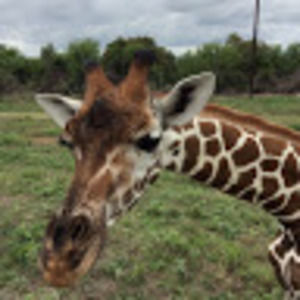 Meet your Posher, Kate